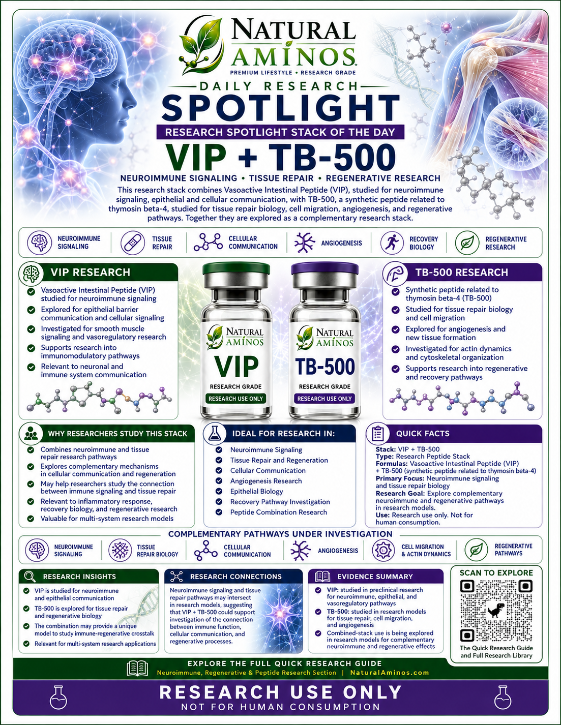 VIP + TB-500 research graphic